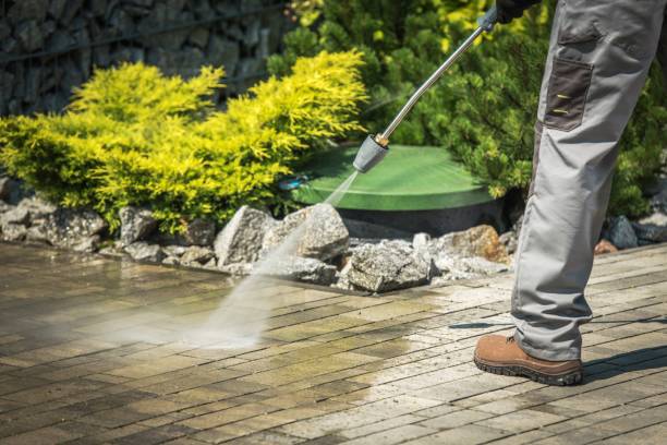 Best Residential Pressure Washing in South Chicago Heights, IL